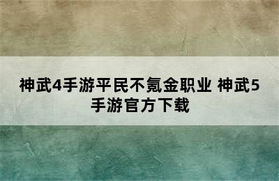 神武4手游平民不氪金职业 神武5手游官方下载